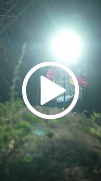 BIB:  <button type="button" onclick="openModal(27921451)" class="btn btn-primary btn-sm float-right" data-toggle="modal" data-target=".modal-high-quality">
                <i class="fa fa-download"></i> Download
                </button>